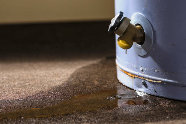 Best Ceiling water damage repair  in Victoria, VA