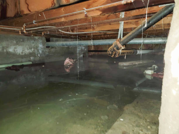 Best Sewage cleanup and water damage restoration  in Victoria, VA