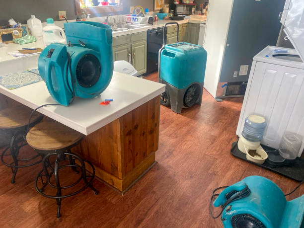 Best Carpet water damage restoration  in Victoria, VA