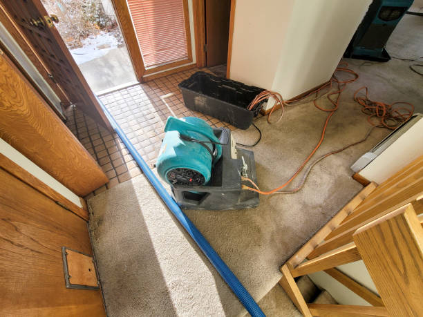 Best Professional water damage repair  in Victoria, VA