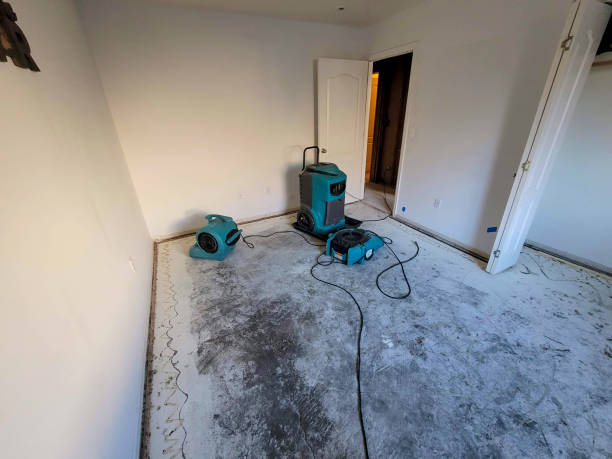 Best Residential water damage restoration  in Victoria, VA