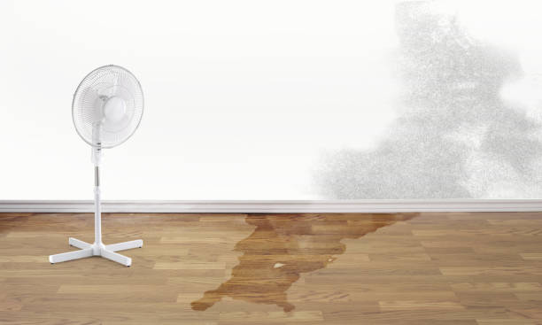 Best Commercial water damage restoration  in Victoria, VA