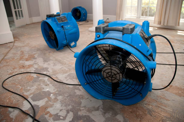 Best Commercial water damage restoration  in Victoria, VA