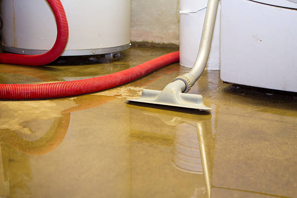 Best Water damage contractors near me  in Victoria, VA
