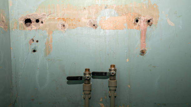 Best Carpet water damage restoration  in Victoria, VA