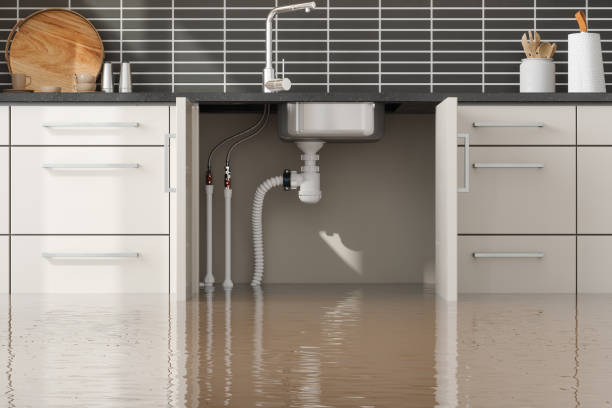 Best Flood damage cleanup  in Victoria, VA