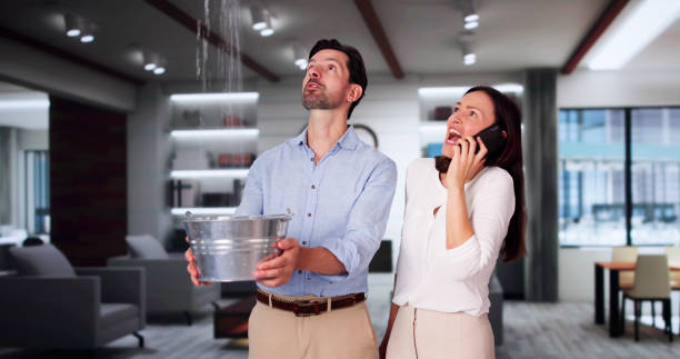 Best Fire Damage Restoration  in Victoria, VA