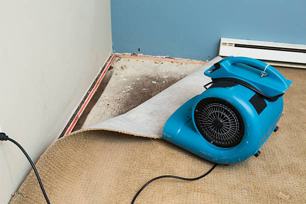 Best Residential water damage restoration  in Victoria, VA